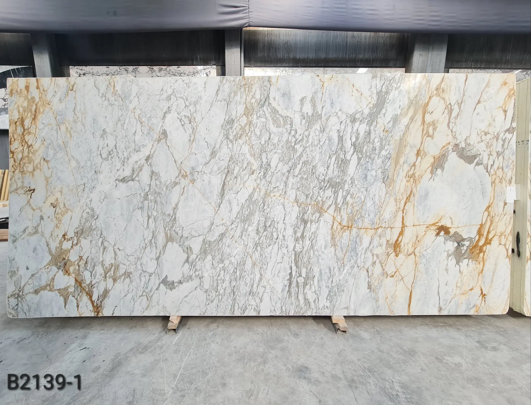 Natural Stone Collection Calacatta Gold marble tile and slab, lot B2139, 2 cm, Honed