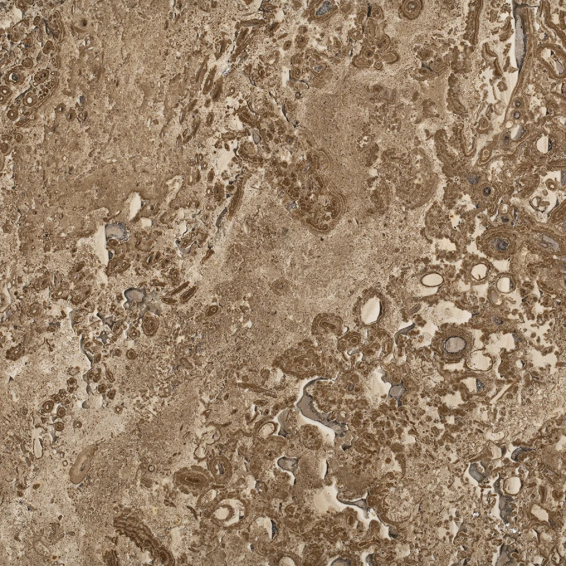 Fantasia Traverten | travertine tile Fantasia Traverten travertine tile — warm walnut-brown and cream tones, rounded mineral shapes and scattered pale inclusions