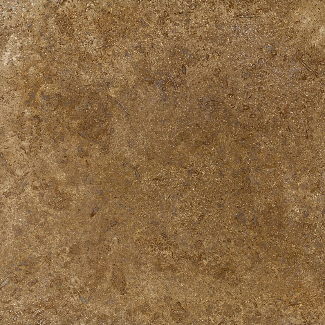 Noce Travertine | travertine tile Noce Travertine travertine tile — warm walnut-brown and cream tones, fine natural pores within a softly clouded pattern